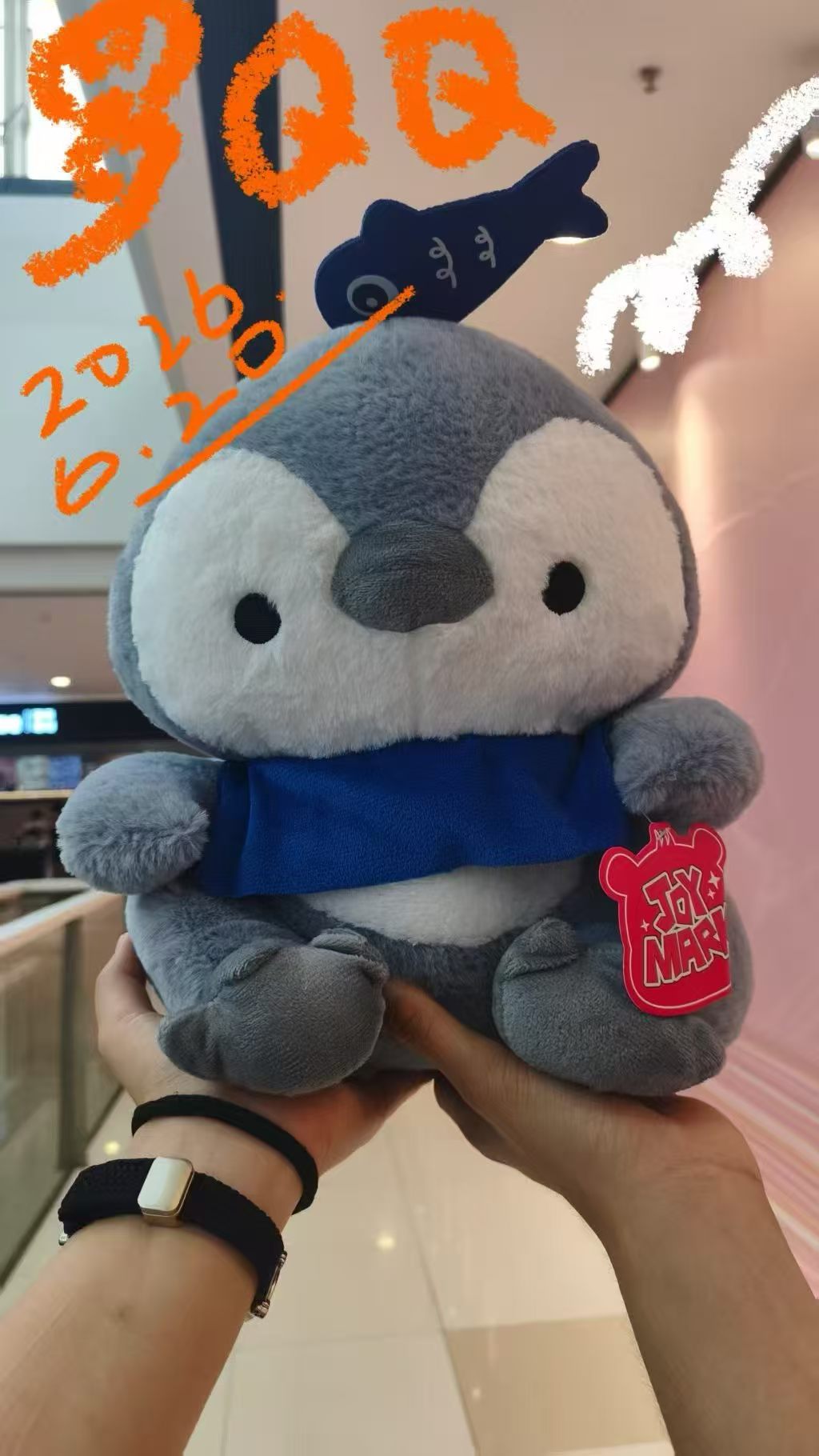 抱在手里的蓝色小玩偶